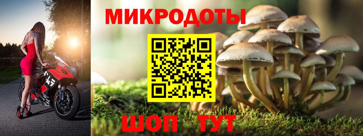 Псилоцибиновые грибы прущие грибы Анапа